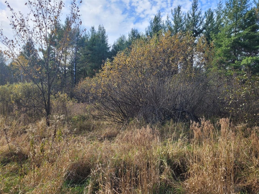 N10835 Kovar Road, Merrillan WI 54741 - Land house for sale - MLS #1606219 - image13