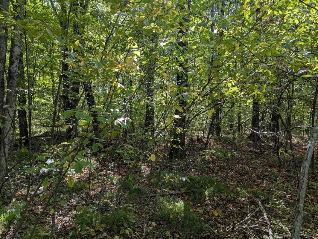 Lot 17 Rabbit Run, Ojibwa WI 54862 - Land house for sale - MLS #1605249 - image3