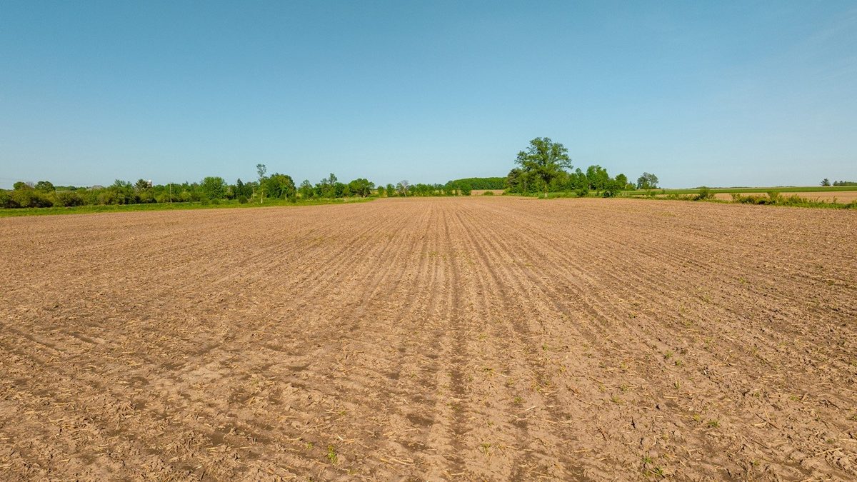 0 Nyes Road, Stanley WI 54768 - Land house for sale - MLS #1601802 - image12