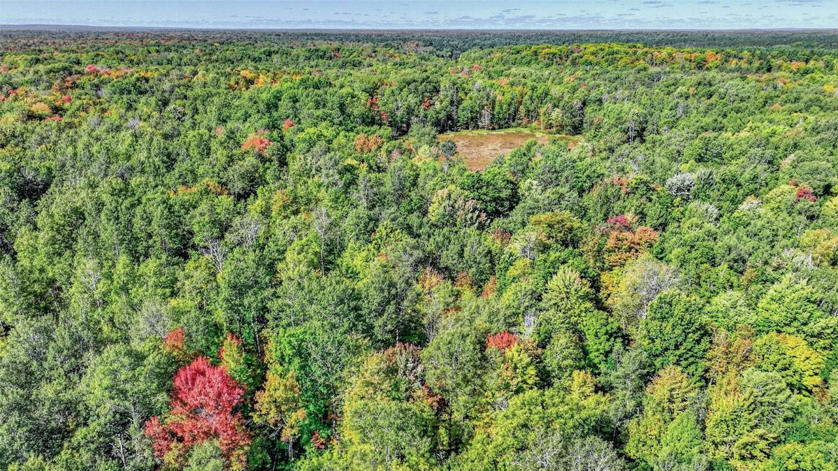 8087N Universal Drive, Winter WI 54896 - Land house for sale - MLS #1605404 - image18