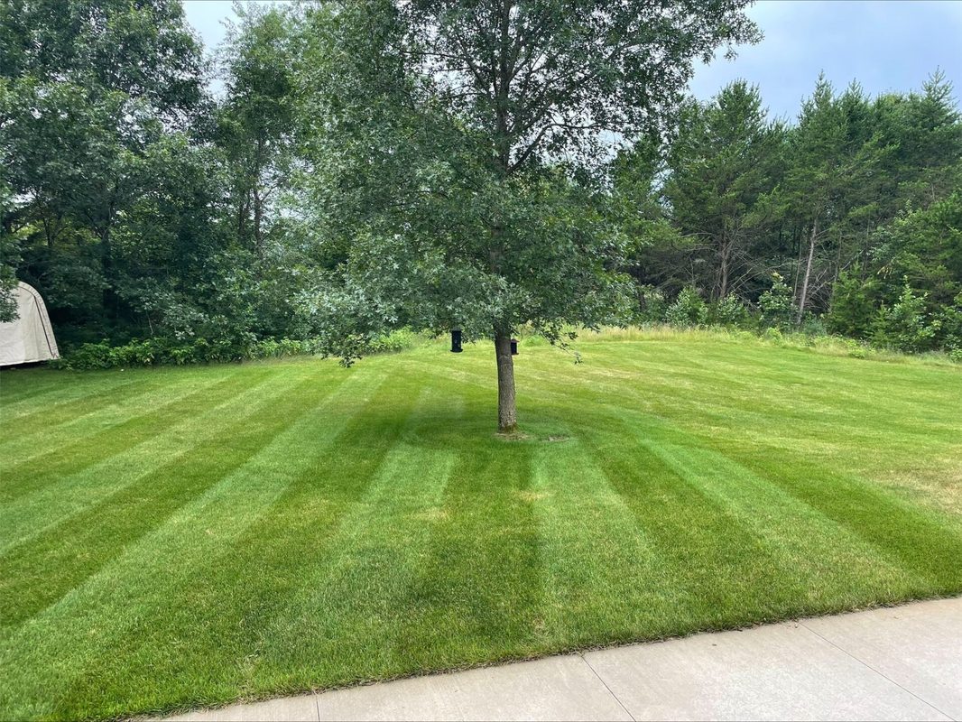 Residential at E3547 Pine Creek Road, Eleva, WI 54738 — photo 38
