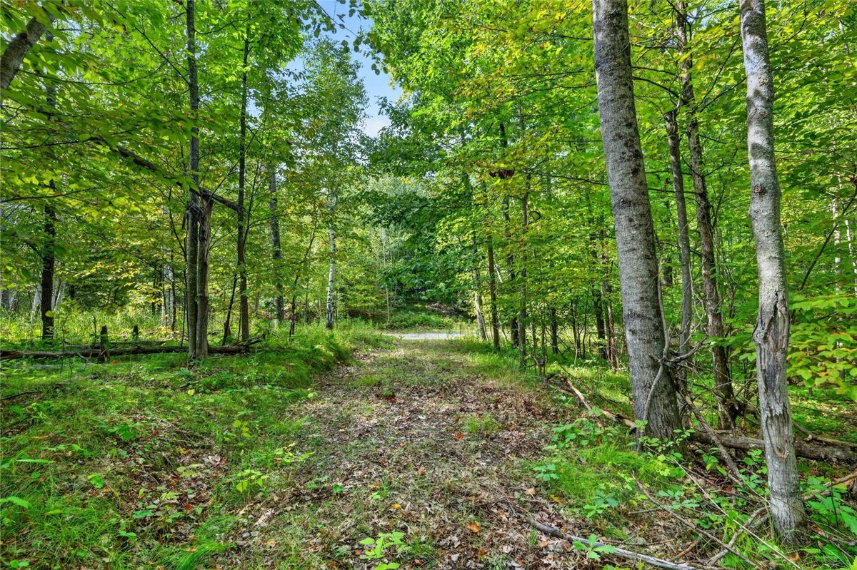 7183 Fremsted Road, Danbury WI 54830 - Land house for sale - MLS #1604943 - image9