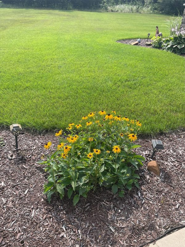 Residential at E3547 Pine Creek Road, Eleva, WI 54738 — photo 29