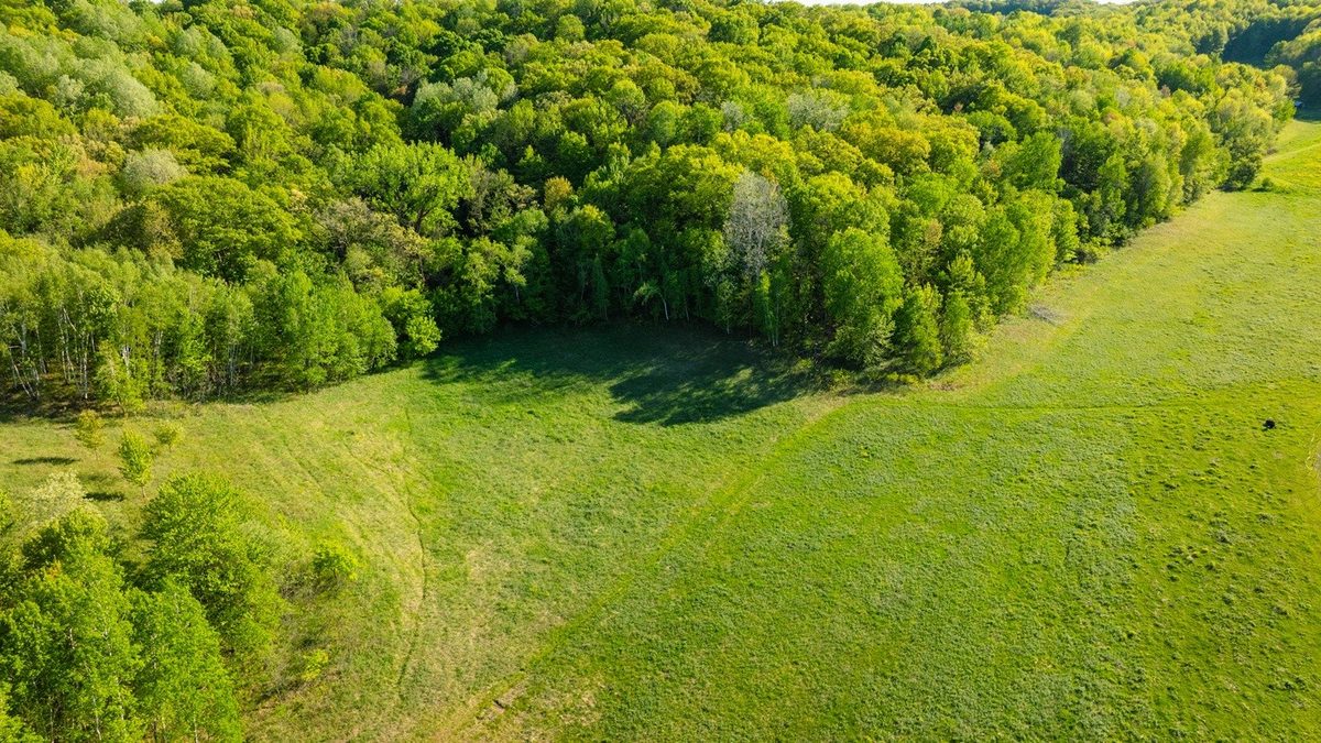 E3555 1120th Avenue, Boyceville WI 54725 - Land house for sale - MLS #1601582 - image14