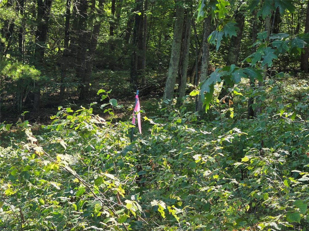 27696 295th (Lot 15) Street, Holcombe WI 54745 - Land house for sale - MLS #1604256 - image11