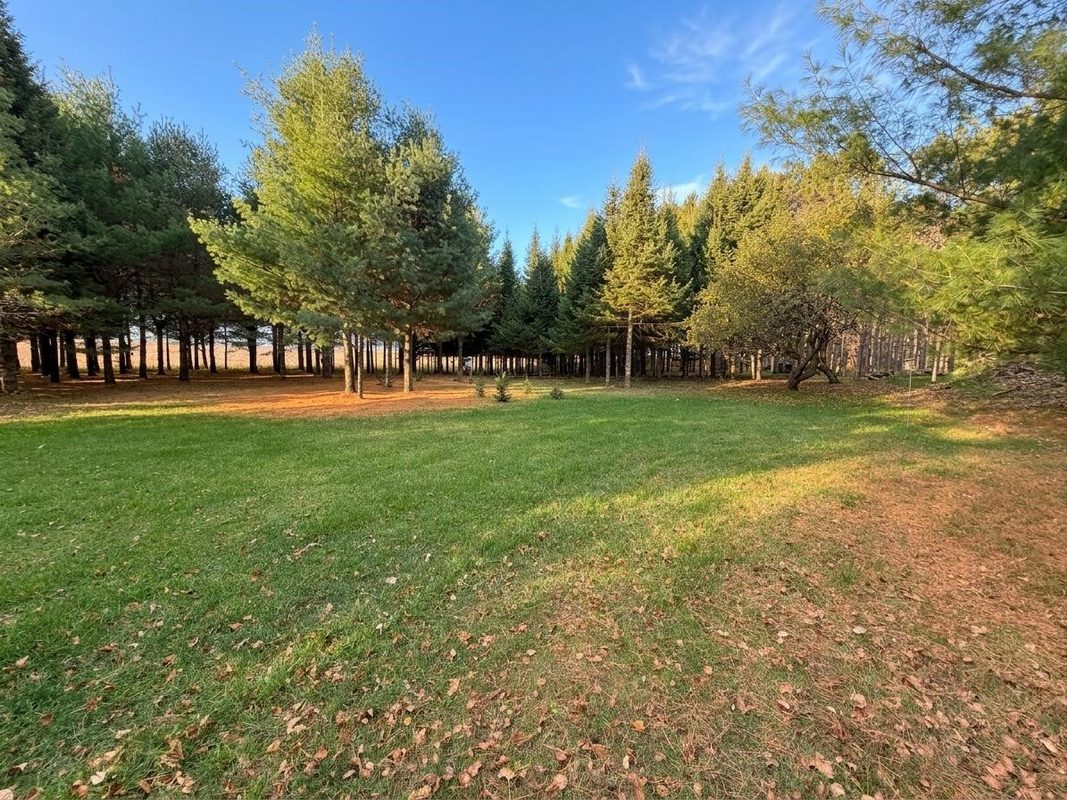 789 29 1/2 Avenue, Barronett WI 54813 - Land house for sale - MLS #1606193 - image12
