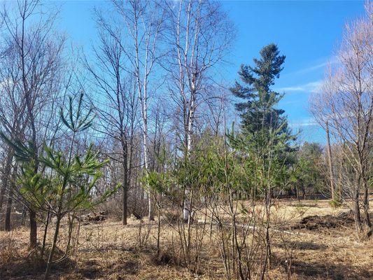 W7482 30th Avenue Barronett WI 54813