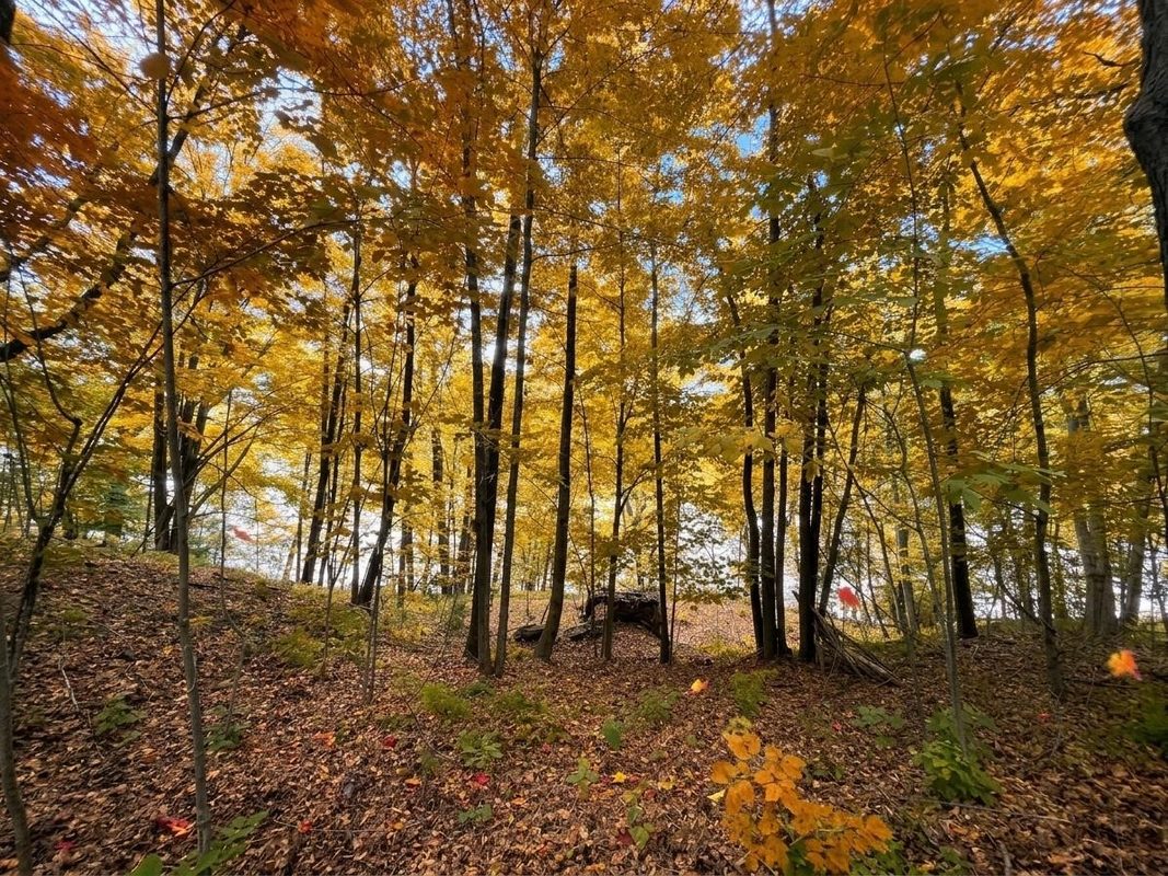 1011 5th Street, Ladysmith WI 54848 - Land house for sale - MLS #1598875 - image10