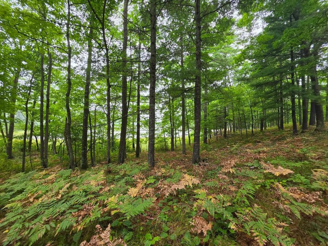 00 10 1/2-28 1/2, Barronett WI 54813 - Land house for sale - MLS #1604830 - image38