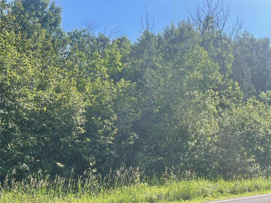 39+/- A on County Highway E, Iron Belt WI 54536 - Land house for sale - MLS #1602959 - image5