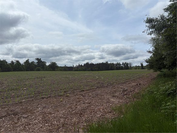 0 Walkers Road, Humbird, WI