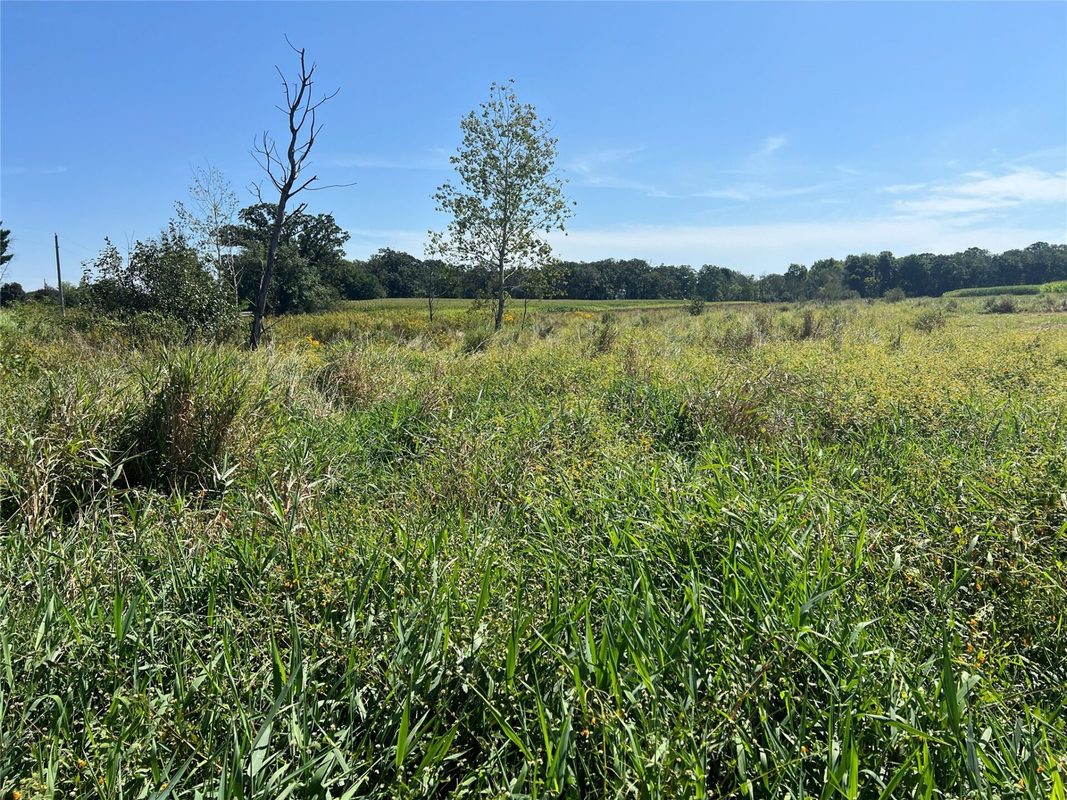 14207 Holmes Road, Hixton WI 54635 - Farm house for sale - MLS #1604847 - image45