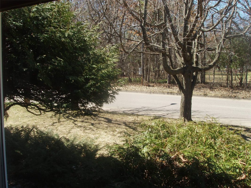 Residential at 649 3rd Avenue, Park Falls, WI 54552 — photo 50