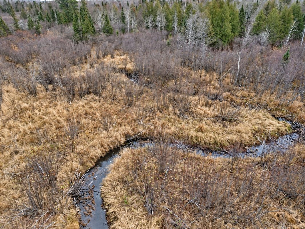 76886 Red House Road, Mellen WI 54546 - Land house for sale - MLS #1606363 - image22