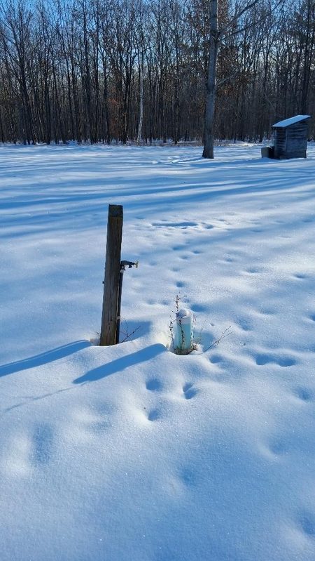S825 Tower Road, Boyd, WI — photo 7