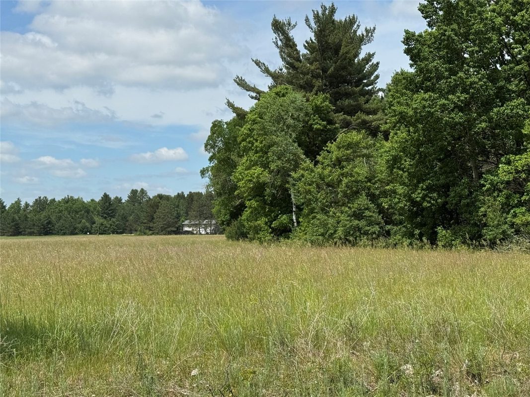 N 6398 Fred Tripp Road, Springbrook WI 54875 - Land house for sale - MLS #1602077 - image11
