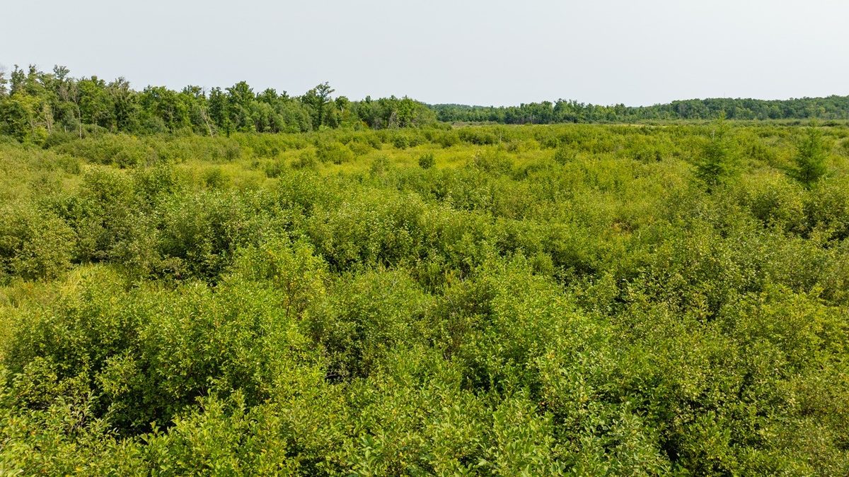 0 28th Street, Chetek WI 54728 - Land house for sale - MLS #1604329 - image30
