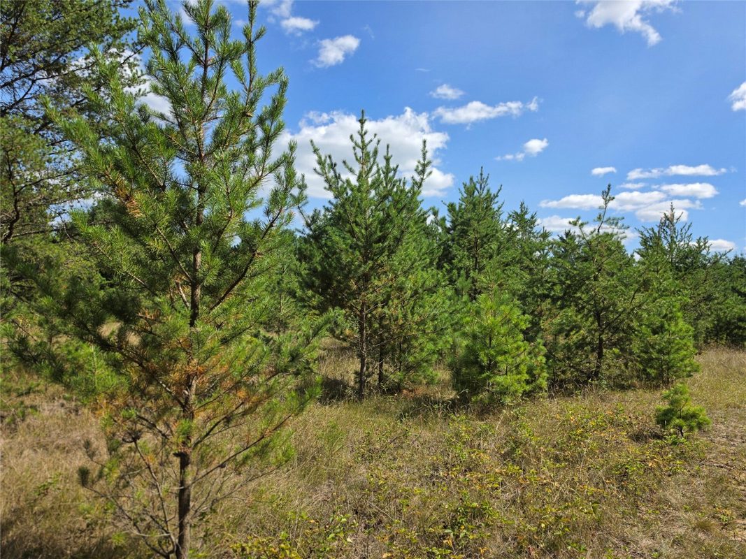 E19805 County Road GG, Augusta WI 54722 - Land house for sale - MLS #1602227 - image16