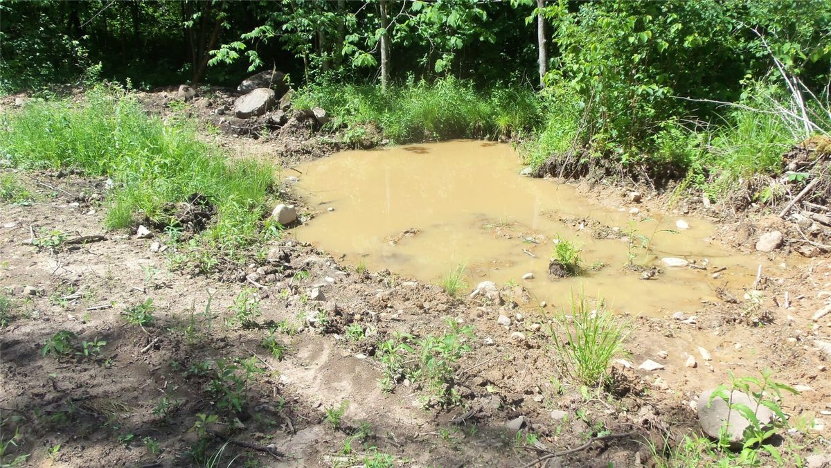 XXX Bashaw Store Road, Shell Lake WI 54871 - Land house for sale - MLS #1603494 - image27