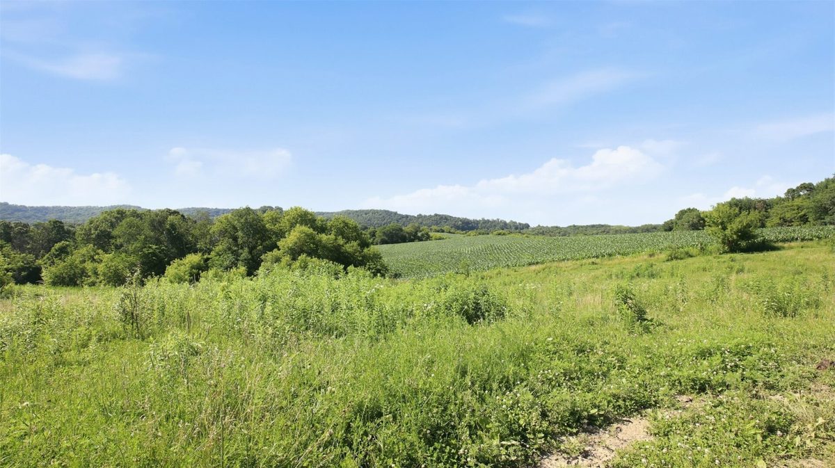 N44681 Hawkenson Valley Road, Eleva WI 54738 - Residential house for sale - MLS #1602782 - image42