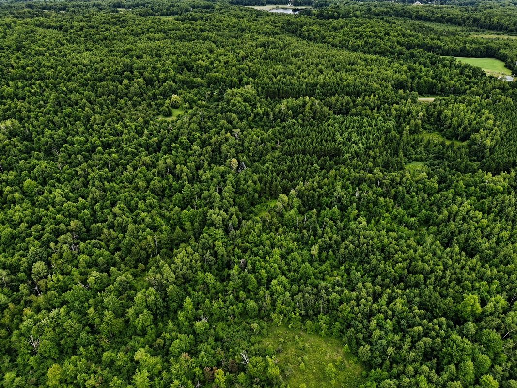 20 Acres Adams Road, Bruce WI 54819 - Land house for sale - MLS #1602683 - image2
