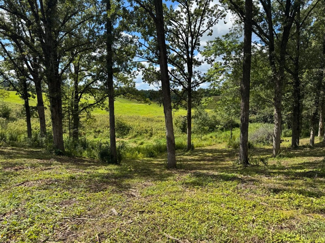 Lot 28 21st Street, Rice Lake WI 54868 - Land house for sale - MLS #1603229 - image15