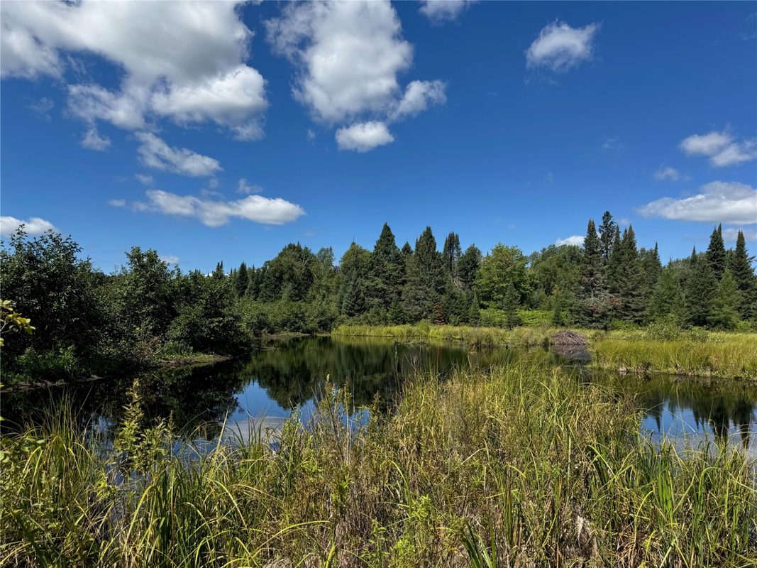 8143 Wright Road, Winter WI 54896 - Land house for sale - MLS #1594262 - image16