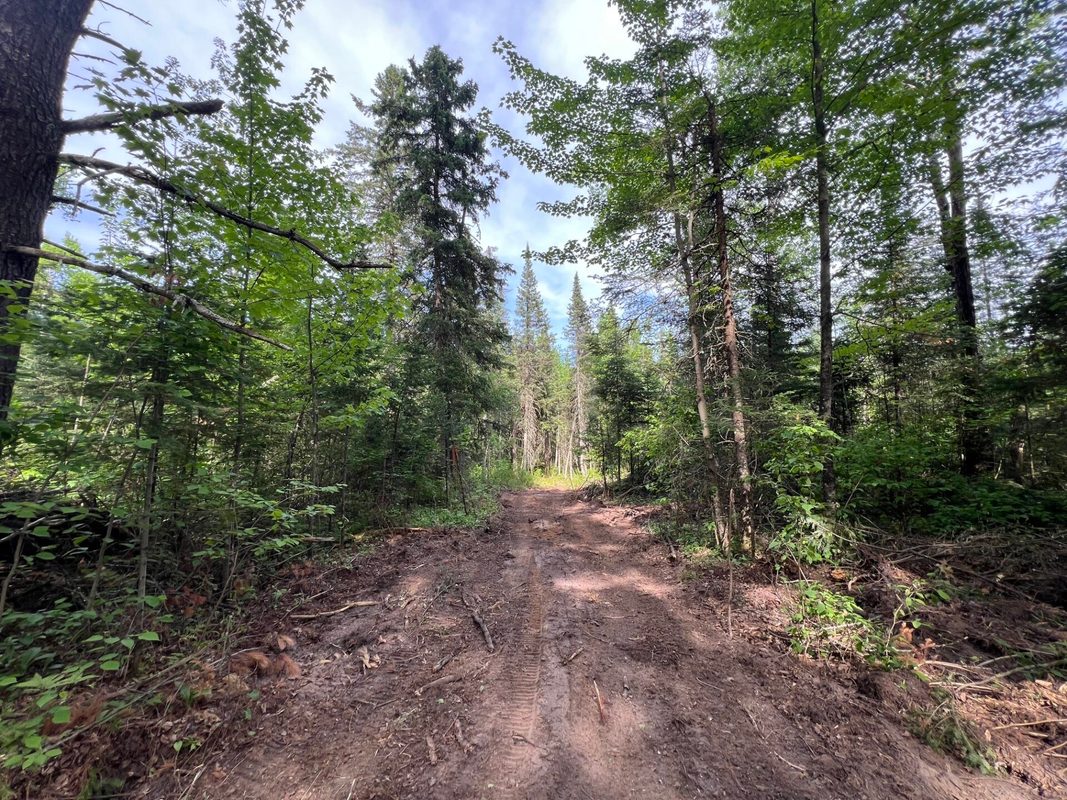 Lot 1 Smith Road, Couderay WI 54828 - Land house for sale - MLS #1601877 - image9