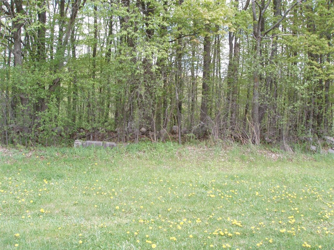 W9002 Moonshine Alley, Catawba WI 54514 - Residential house for sale - MLS #1601811 - image36