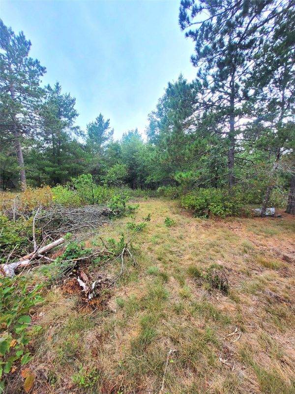 0 Blueberry Rd, Gordon WI 54838 - Land house for sale - MLS #1604990 - image27
