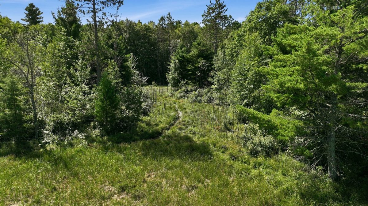 9272N State Highway 27, Hayward WI 54843 - Residential house for sale - MLS #1604385 - image39