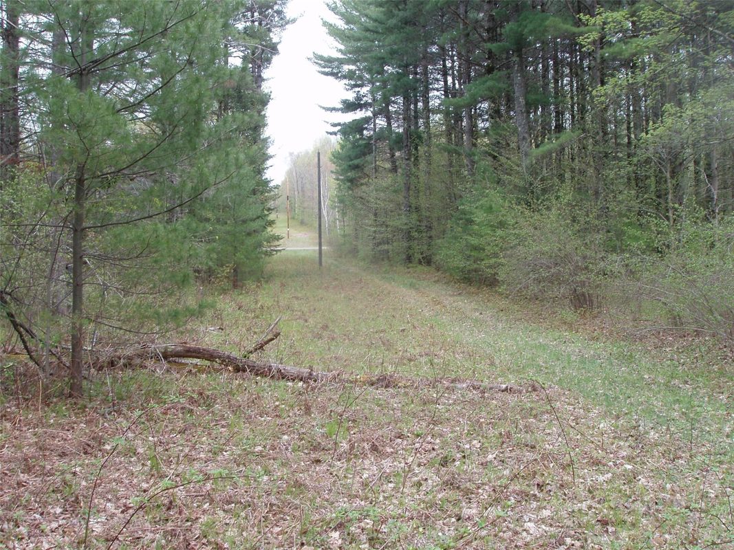 N16473 Patterson Lake Road, Park Falls WI 54552 - Land house for sale - MLS #1603551 - image6
