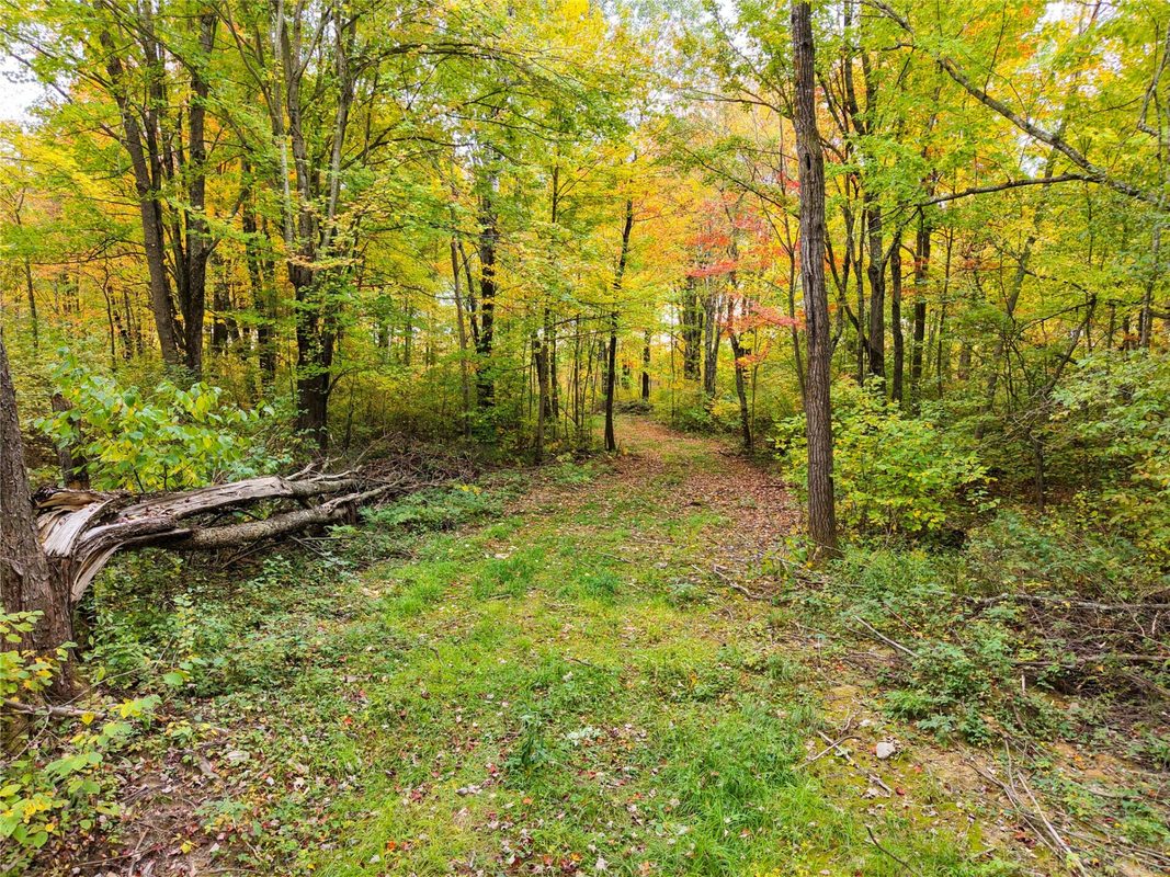 0000 County Road I, Ogema WI 54459 - Land house for sale - MLS #1605613 - image16