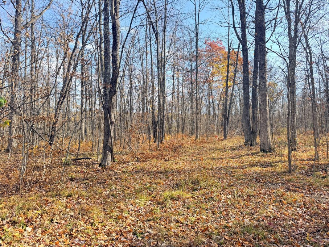 0 County Highway C, Rice Lake WI 54868 - Land house for sale - MLS #1605929 - image22