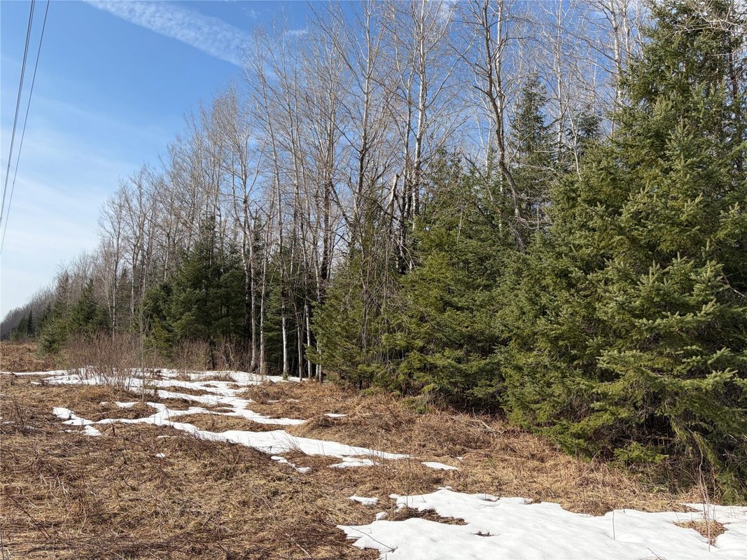 ON CTH F Park Falls WI 54552 — photo 4