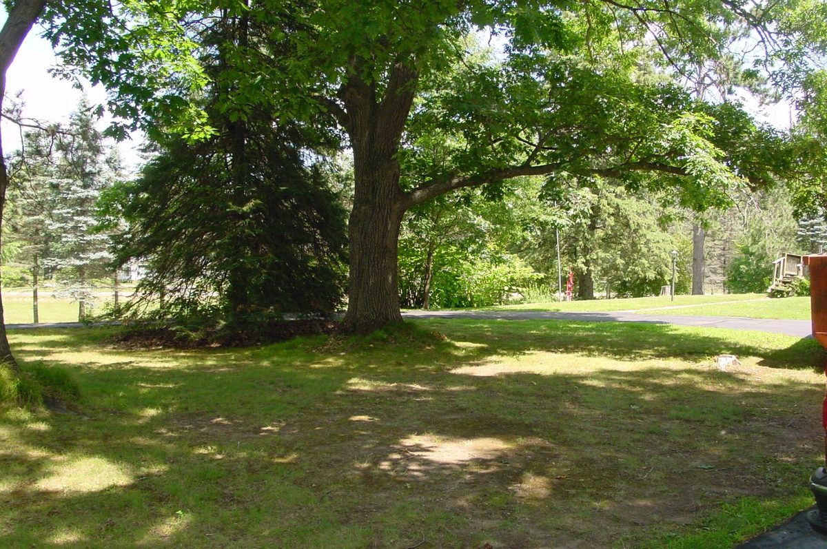 W10529 US Highway 8, Ladysmith WI 54848 - Residential house for sale - MLS #1603124 - image35