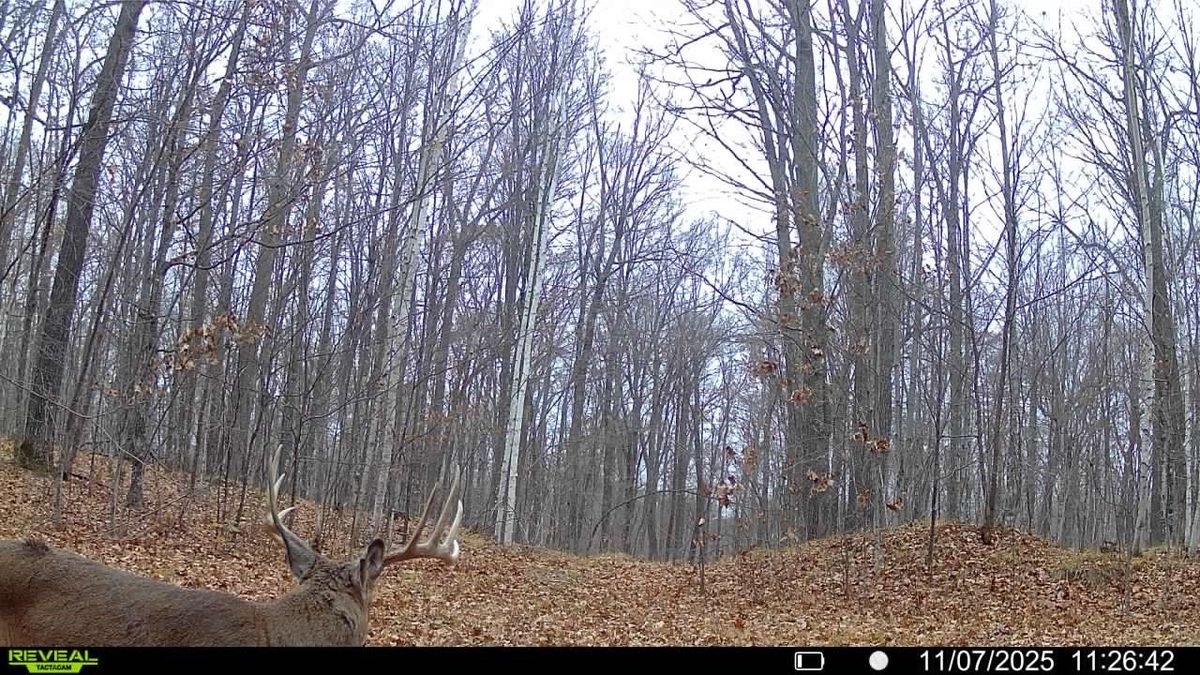 Block 8 Comet Road, Exeland WI 54835 - Land house for sale - MLS #1597558 - image8