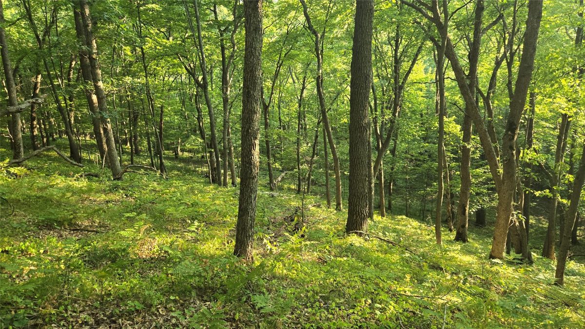 W02 State Highway 64, Colfax WI 54730 - Land house for sale - MLS #1604529 - image10