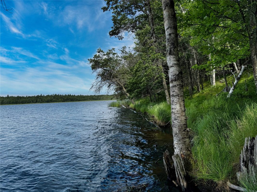 11149 Merganser Lane, Hayward WI 54843 - Land house for sale - MLS #1604672 - image7