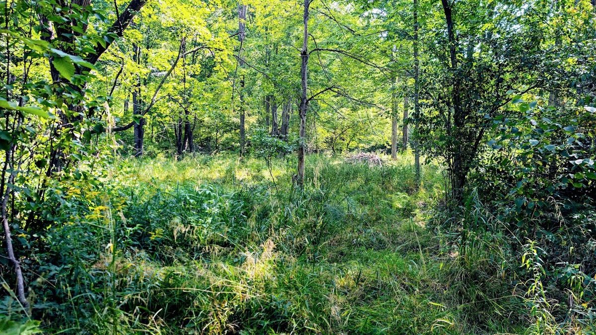 W8185 County Road J, Ladysmith WI 54848 - Land house for sale - MLS #1604406 - image26
