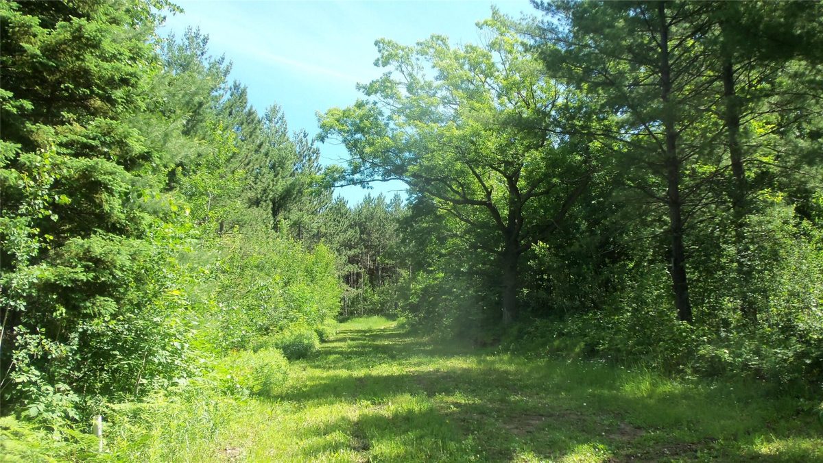XXX Bashaw Store Road, Shell Lake WI 54871 - Land house for sale - MLS #1603494 - image2