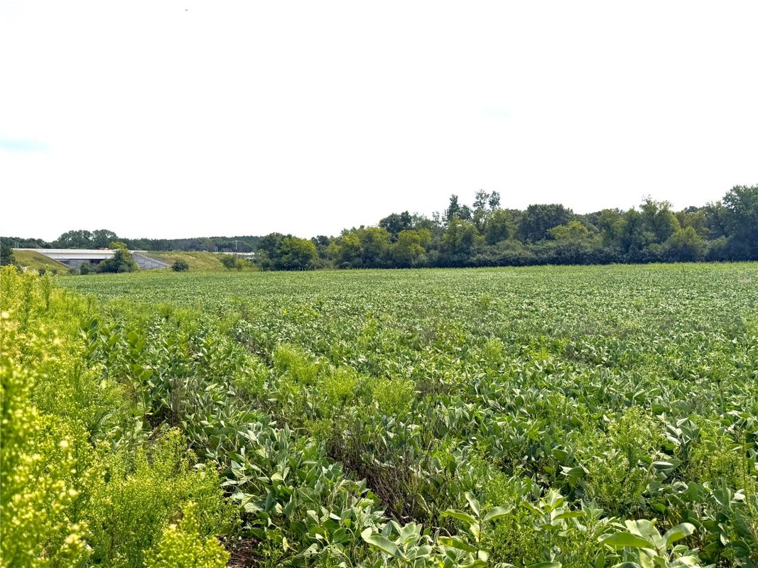 13.81 acres Van Tassel Road, Osseo WI 54758 - CommercialSale house for sale - MLS #1604127 - image12
