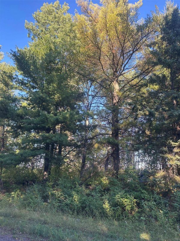 8360 Old 11 Road, Solon Springs WI 54873 - Land house for sale - MLS #1605028 - image4