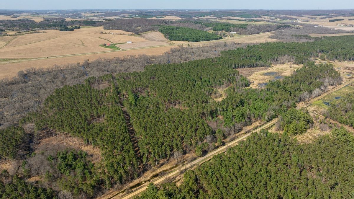 Land at 0 Prairie Road, Osseo, WI 54758 — photo 23
