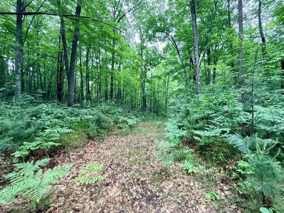 8827 Norwis Road, Hayward WI 54843 - Land house for sale - MLS #1601882 - image1