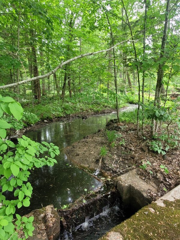 N900 Resewood Avenue, Neillsville WI 54456 - Land house for sale - MLS #1597245 - image17