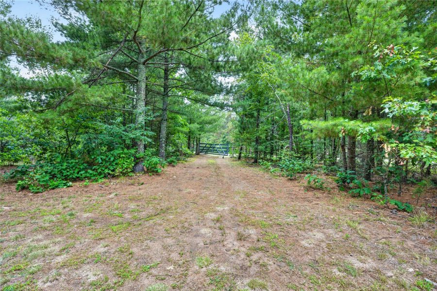 6995 Minerva Landing