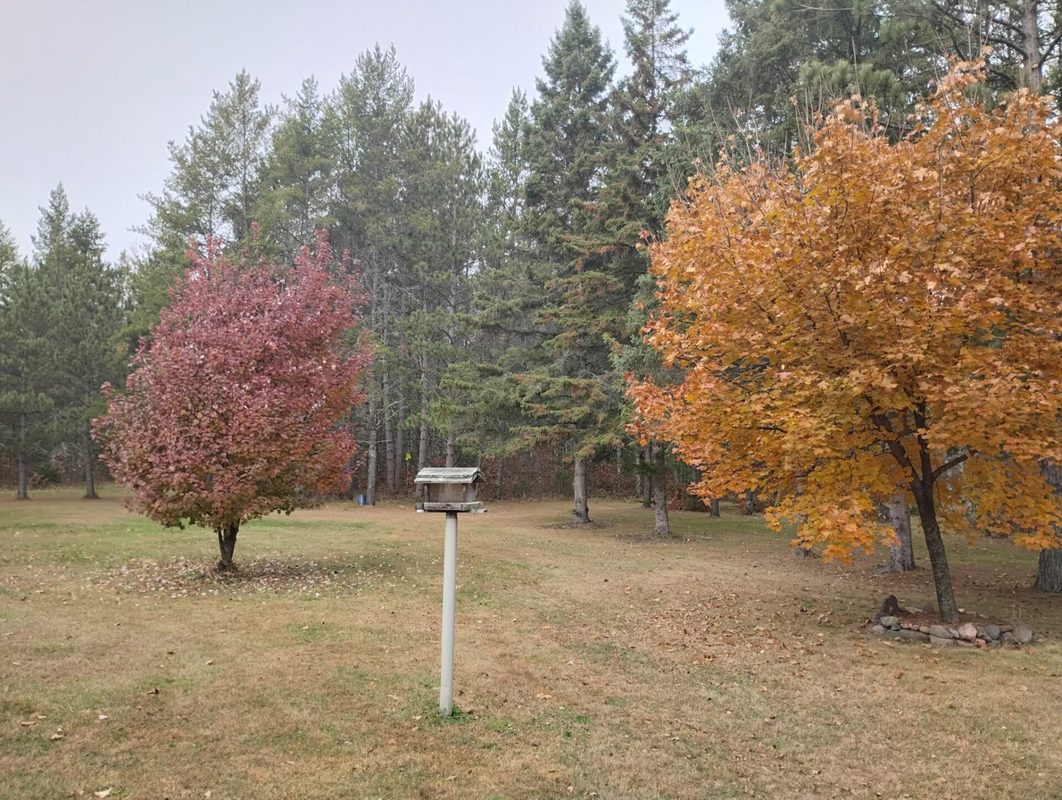 W3602 Willers Road, Springbrook WI 54875 - Residential house for sale - MLS #1602817 - image46