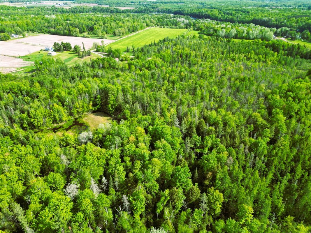 W9902 Flohr Road, Ladysmith WI 54848 - Residential house for sale - MLS #1601560 - image40