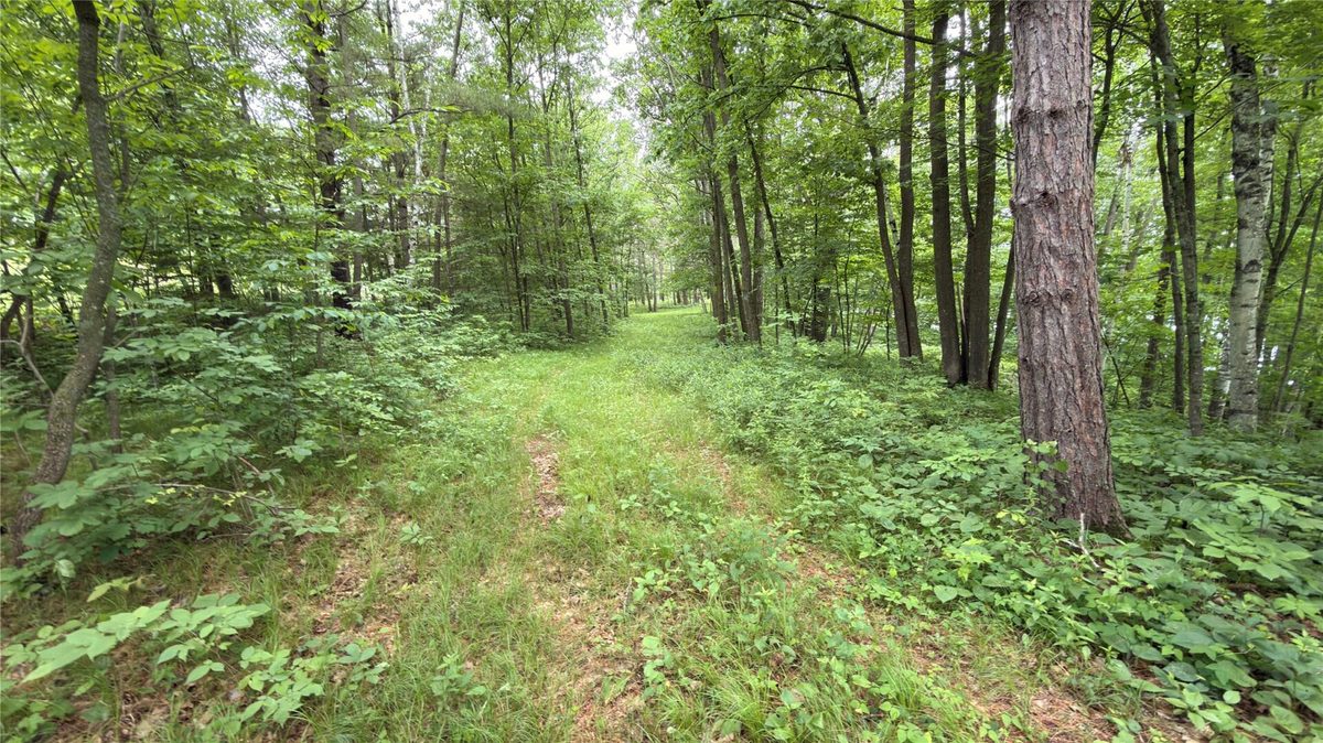 765 270th Ave Cty Rd O, Frederic WI 54837 - Land house for sale - MLS #1602300 - image7